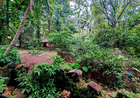 Sunshine in Palolem, Canacona By Yara Yara's