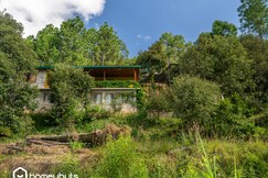 Bloomstone Orchard Mukteshwar 3BR By Homeyhuts, Mukteshwar Bloomstone Orchard Mukteshwar 3BR By Homeyhuts, Mukteshwar