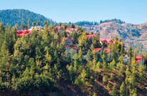 Citrus Hotels, Shimla Citrus Hotels, Shimla