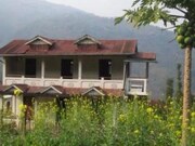 Tathagata Farm, Darjeeling Tathagata Farm, Darjeeling