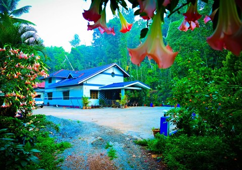 Greenpalaces Homestay