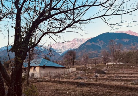 Pala Dharamshala - Mountain Cottage