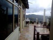 Alvina Homestay, Chail Alvina Homestay, Chail