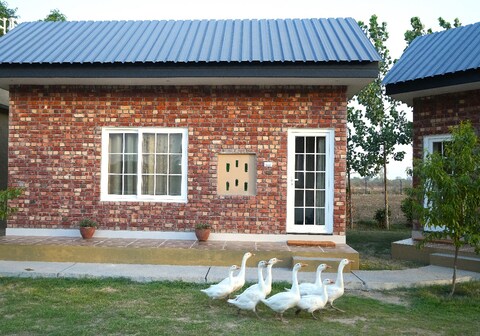 Rustic Roots Farm Stay