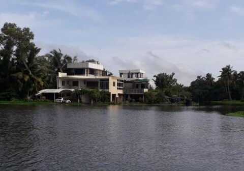 Dew Drop Dolphin City