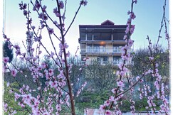 La Heim hostel, Manali La Heim hostel, Manali