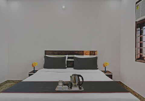 Collection O The Royal Fern