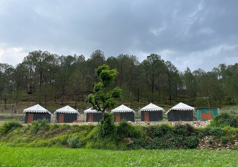 Golden Field Camping Zone