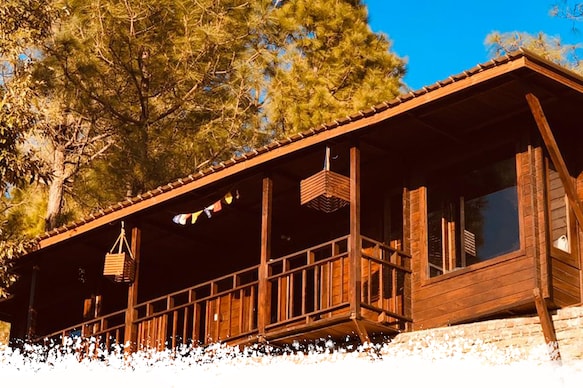 Sukoon Wellness Resources