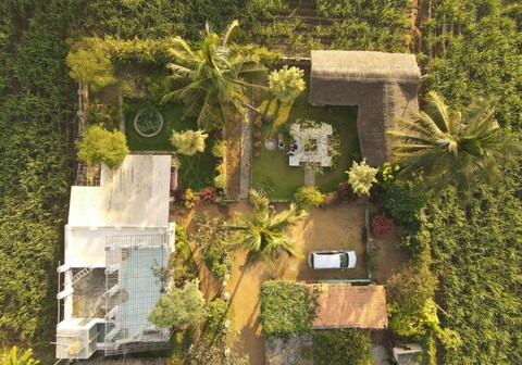 Little Banana | Rooms in a Homestay