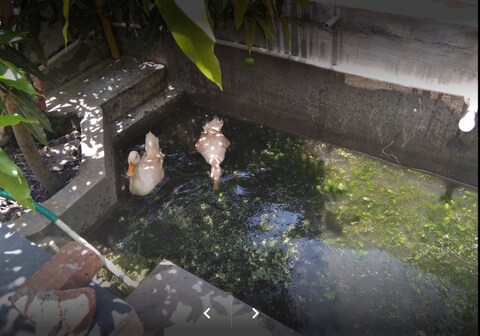 Rajammal Swimcourt Guest House and Hotel