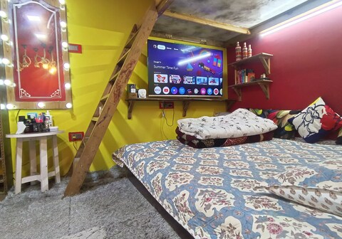 The Money Plant House