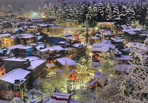 Hotel Ambika Bliss Manali