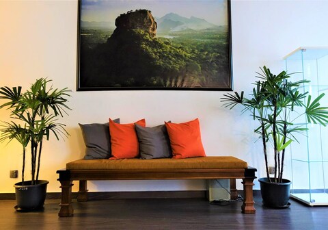 Star Anise Boutique Capsule