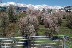 Home Stay Tranquil trails Naddi, Dharamshala Home Stay Tranquil trails Naddi, Dharamshala