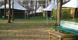 Pine Hills Eco Camp, Solan Pine Hills Eco Camp, Solan