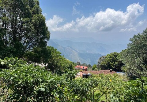 Mango Tree Inn