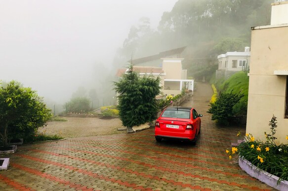 Misty Haven