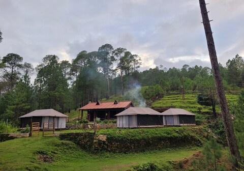 Kausani Jungle Camp - Unit Of TGH Group