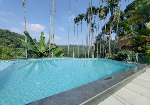WhiteLily s Pool Retreat Kaggodlu Madikeri Coorg