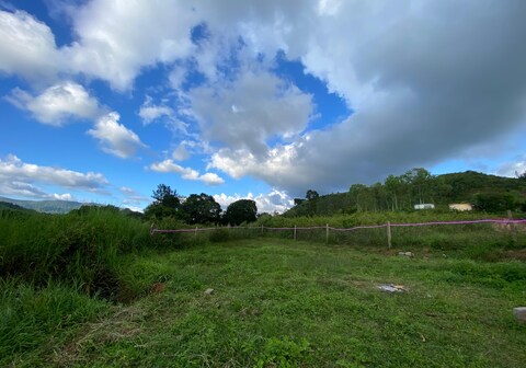 MIST MOUNTAIN RESORT