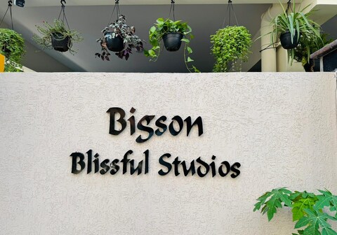 Bigson Blissful Studios
