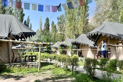 Tongspon Camp, Nubra Valley Tongspon Camp, Nubra Valley