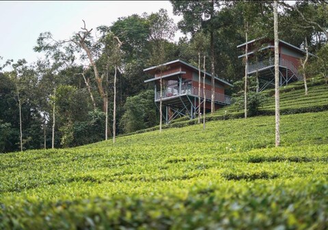Vythiri Stream View | Cottages in Tea Valleys