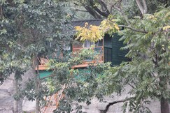 Hornbill Hideaway Jungle Resort, Munnar Hornbill Hideaway Jungle Resort, Munnar