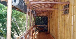 River View Resorts, Masinagudi River View Resorts, Masinagudi