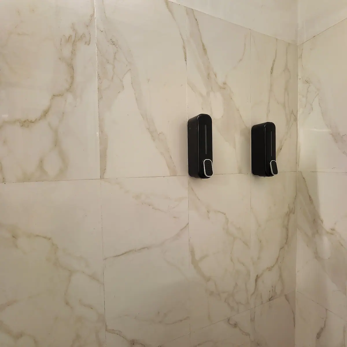 The Nest Lakhnau Luxe 65inch TV