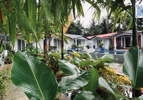 DD Cottages in Mandrem