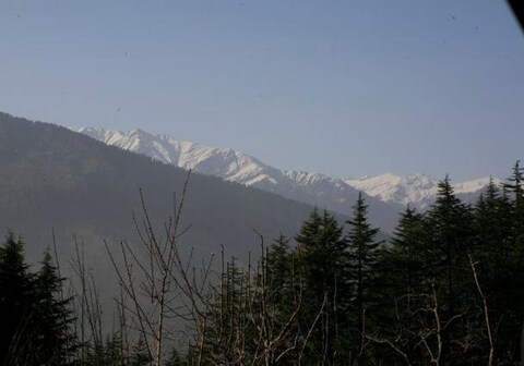 The Sonaugi Homestead