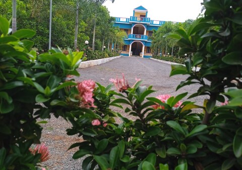 Paradise Forest Resort