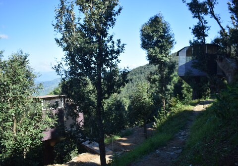 Tree casa by homeyhuts