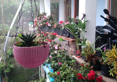 Holiday Homestay Kalimpong