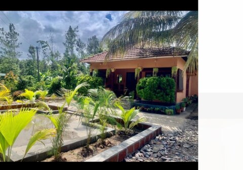 The forest world resort