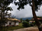 Singaras Coffee Country, Masinagudi Singaras Coffee Country, Masinagudi