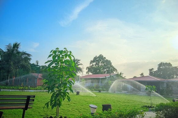 Mango Tree Farm Resort | Farm Stay