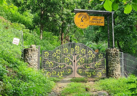 The Tree Organic Farm Stay