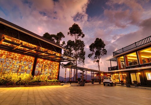Chandys Drizzle Drops- Munnar Top Station