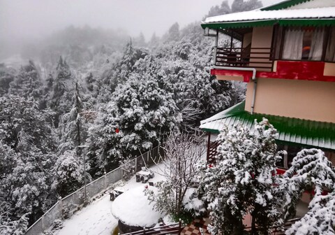 The Wonder Valley Resort