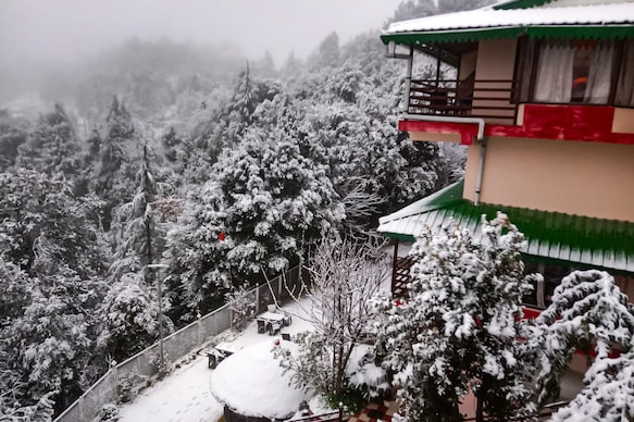 The Wonder Valley Resort