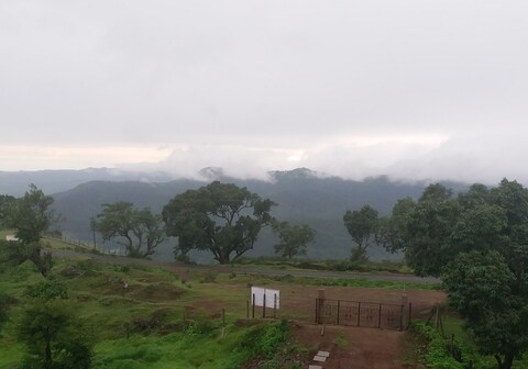 Strawberry Hills Chikhaldara