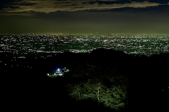 Humming Bird by Brown Tree Resorts