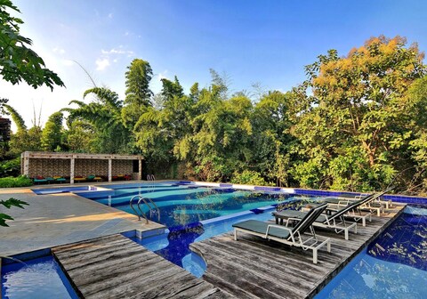 The Celebration Van Vilas Kanha