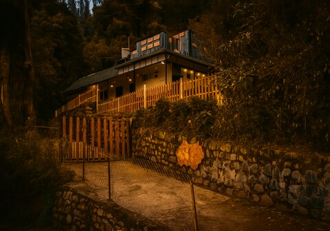 Amber by The Tamarillo