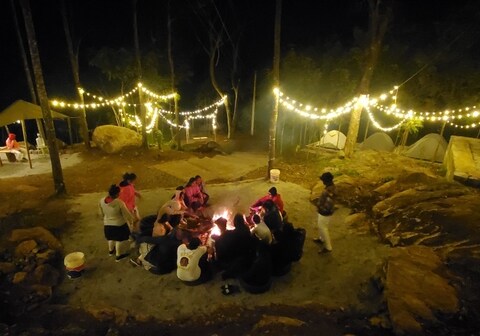 Wilde Troupe - Camping Grounds