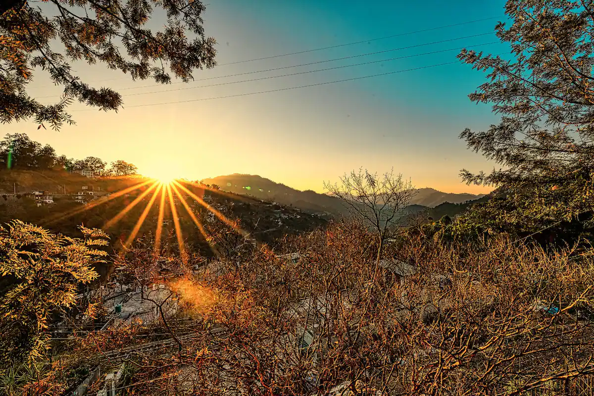 Kasauli cabin - 2bhk homestay