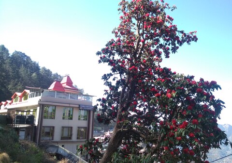 THE GRAND MADHUSHALA